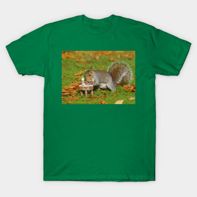 squirrel pick nick T-Shirt by Simon-dell